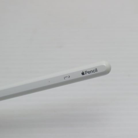�¿��ݾ� Ķ���� Apple Pencil ��2���� MU8F2J/A (2018) ���å��ڥ�
