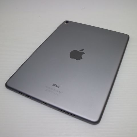 ¿ݾ Ķ iPad Pro 9.7 Wi-Fi 256GB ڡ쥤