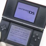 �¿��ݾ��� ������� �˥�ƥ�ɡ�DS Lite �饤�� ����ॾ��  �������