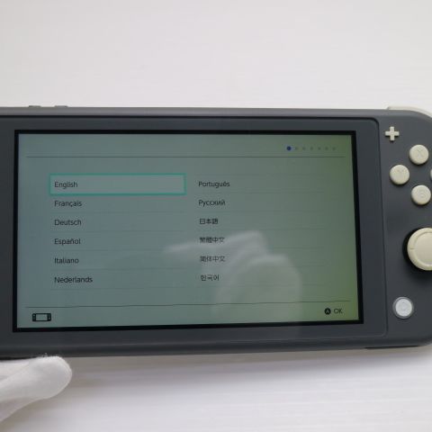 �¿��ݾ� ���� Nintendo Switch Lite ���졼