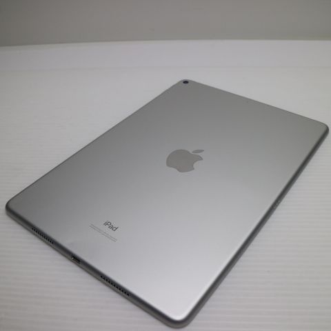 �¿��ݾ� Ķ���� iPad Air 3 wi-fi��ǥ� 256GB  ����С�