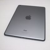 �¿��ݾ��� ���� iPad Air Wi-Fi 32GB ���ڡ������쥤  �������