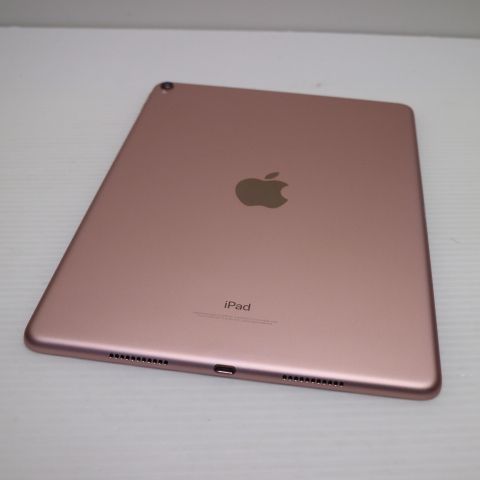 �¿��ݾ� Ķ���� iPad Pro 10.5����� Wi-Fi 256GB �������������