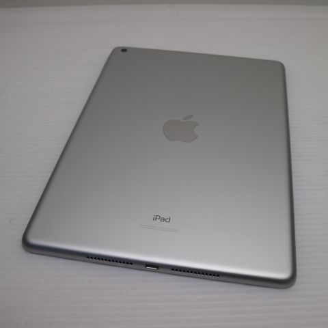 �¿��ݾ� ����Ʊ�� iPad ��9���� Wi-Fi 256GB ����С�