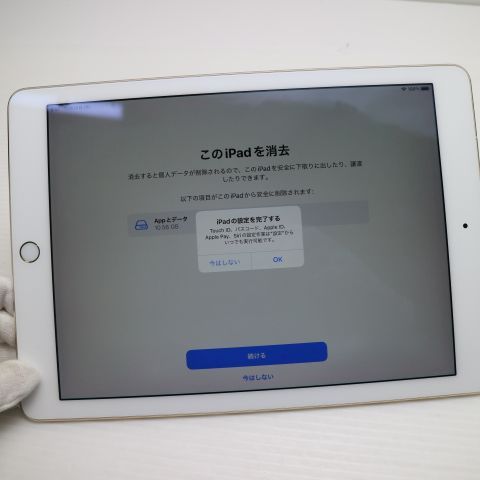 Ķ���� SIM�ե꡼iPad Pro 9.7����� Wi-Fi+Cellular256GB �������