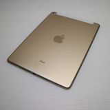 �¿��ݾ��� Ķ���� docomo iPad Air 2 Cellular  16GB �������