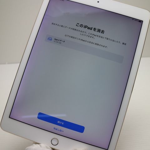 �¿��ݾ� ���� iPad Pro 9.7����� Wi-Fi 128GB ������� ����