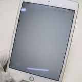 �¿��ݾ��� ���� iPad mini 4 Wi-Fi 64GB �������  �������