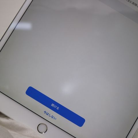 Ķ���� SIM�ե꡼ iPad Pro10.5�����Wi-Fi+Cellular 256GB����С�