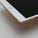 ����Ʊ�� iPad mini 5 Wi-Fi 64GB �������