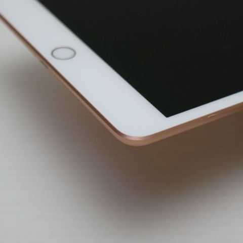 ����Ʊ�� iPad mini 5 Wi-Fi 64GB �������