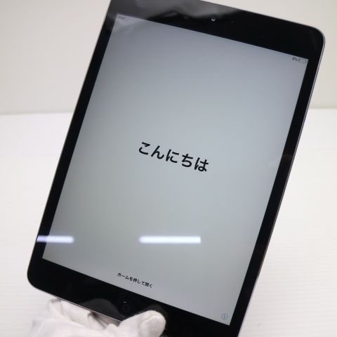 �¿��ݾ��� ���� iPad mini 2 Retina Wi-Fi 64GB ���ڡ������쥤  ���