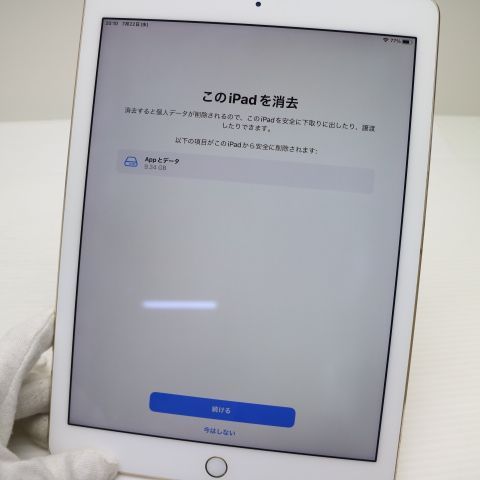 Ķ���� SIM�ե꡼ iPad Pro 9.7����� Wi-Fi+����顼  32GB �������