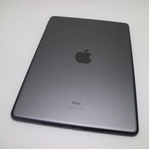 �¿��ݾ� Ķ���� iPad ��9���� Wi-Fi 64GB ���ڡ������쥤