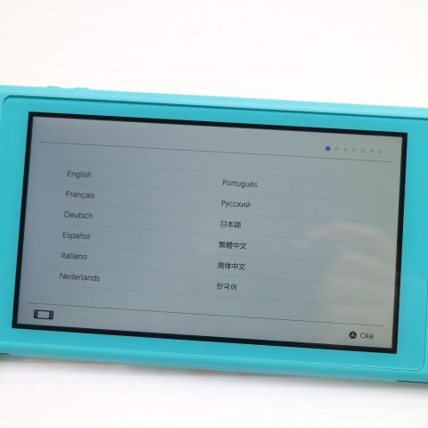 �¿��ݾ� ���� Nintendo Switch Lite ����������