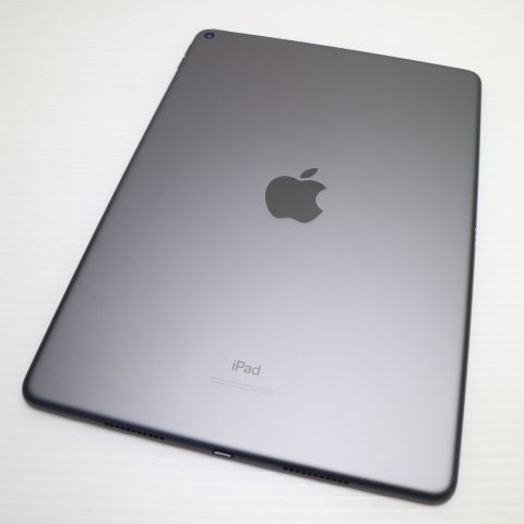 �¿��ݾ� Ķ���� iPad Air 3 wi-fi��ǥ� 64GB  ���ڡ������쥤