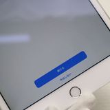 ���� SIM�ե꡼ iPad mini 4 Cellular 128GB ����С�  �������