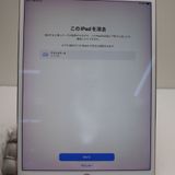 �¿��ݾ� Ķ���� iPad Pro 10.5����� Wi-Fi 256GB �������������