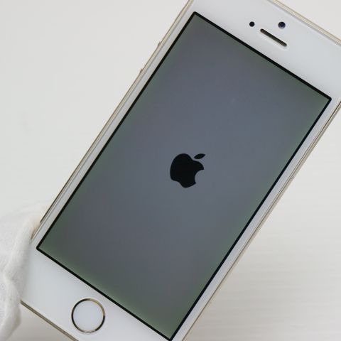  DoCoMo iPhone5s 64GB   