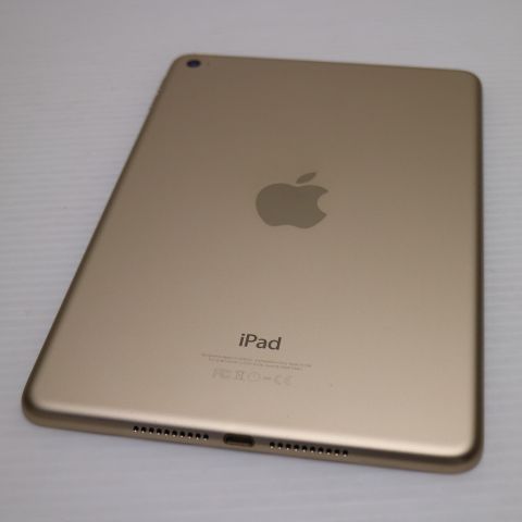 �¿��ݾ��� Ķ���� iPad mini 4 Wi-Fi 64GB �������  �������