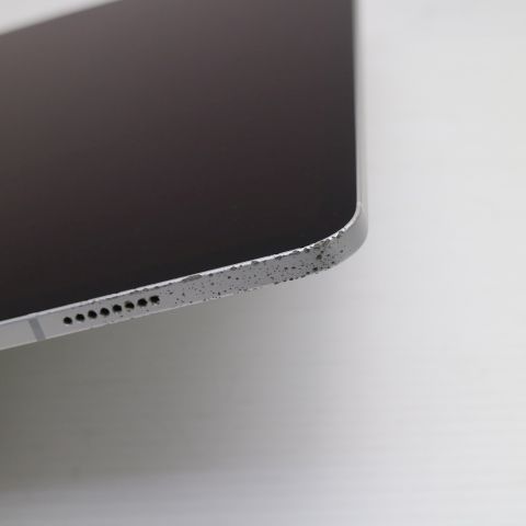 �ݾ� ���� SIM�ե꡼ iPad Pro 11����� ��3���� Wi-Fi+����顼  256GB