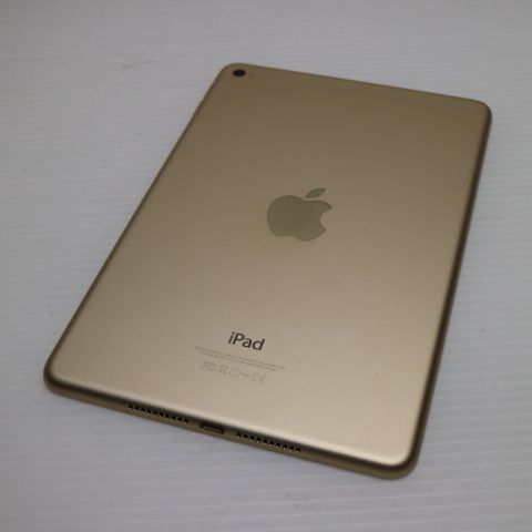 �¿��ݾ��� Ķ���� iPad mini 4 Wi-Fi 16GB �������  �������