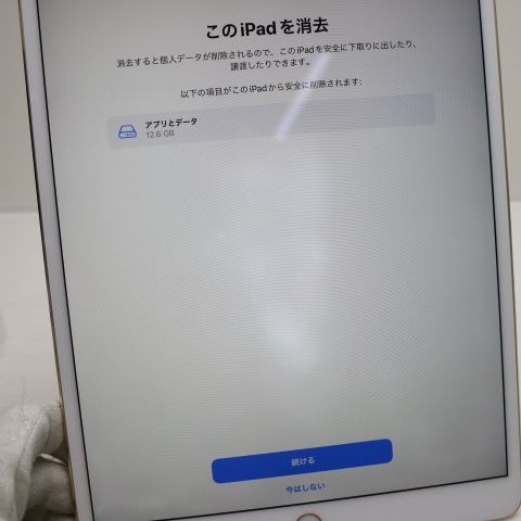 Ķ���� SIM�ե꡼ iPad Pro 10.5����� Wi-Fi+����顼  256GB �������