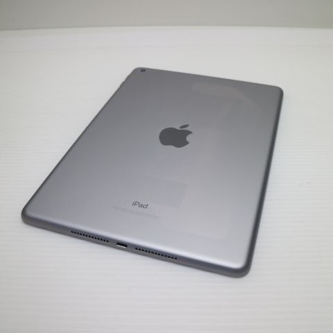Ķ���� iPad ��5���� Wi-Fi 128GB ���ڡ������쥤