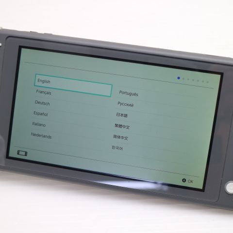 �¿��ݾ� Ķ���� Nintendo Switch Lite ���졼