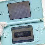 �¿��ݾ��� ������� �˥�ƥ�ɡ�DS Lite �������֥롼  �������
