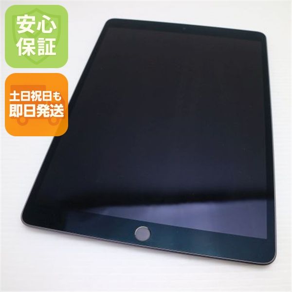 �¿��ݾ� Ķ���� iPad Air 3 wi-fi��ǥ� 256GB  ���ڡ������쥤
