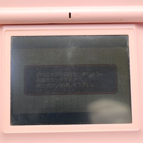 ��� �˥�ƥ�ɡ�DS Lite �饤�� �ԥ�  �������