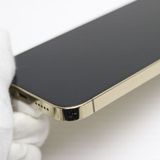�¿��ݾ� ���� SIM�ե꡼ iPhone13 Pro 128GB ������� �����