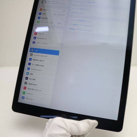 Ķ���� SIM�ե꡼ iPad Pro 12.9����� ����顼 128GB ���ڡ������쥤