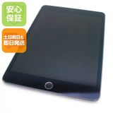 ���� SIM�ե꡼ iPad mini 5 Wi-Fi+����顼  64GB ���ڡ������쥤