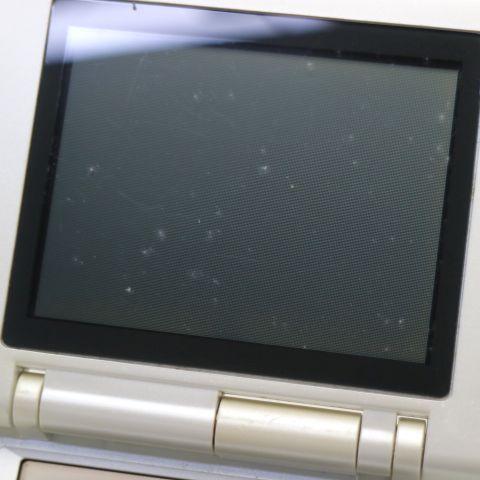 �¿��ݾ��� ������� �˥�ƥ�ɡ�DS �ץ���ʥ���С�   �������