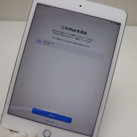 Ķ���� iPad mini 5 Wi-Fi 256GB ����С�