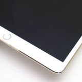 �¿��ݾ� Ķ���� iPad Pro 10.5����� Wi-Fi 256GB ������� ����