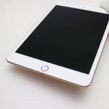 ����Ʊ�� SIM�ե꡼ iPad mini 5 Cellular 256GB �������