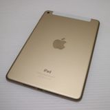 �¿��ݾ��� Ķ���� SIM�ե꡼ iPad mini 4 Cellular  64GB �������