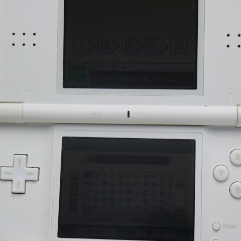 ¿ݾ  ˥ƥɡDS Lite 饤 ۥ磻  