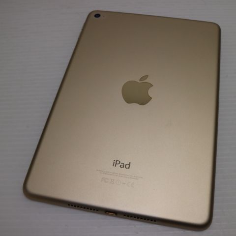 �¿��ݾ��� Ķ���� iPad mini 4 Wi-Fi 16GB �������  �������