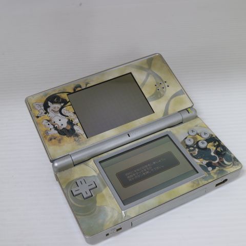 �¿��ݾ��� ���� �˥�ƥ�ɡ�DS Lite �饤�� ����С�  �������