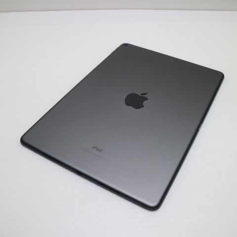 ¿ݾ Ʊ iPad Air 3 wi-fiǥ 256GB  ڡ쥤