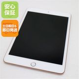 Ķ SIMե꡼ iPad mini 5 64GB 