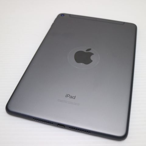 ���� SIM�ե꡼ iPad mini 5 Wi-Fi+����顼  64GB ���ڡ������쥤