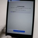 Ķ���� SIM�ե꡼ iPad mini 4 Cellular 128GB ���ڡ������쥤  ���