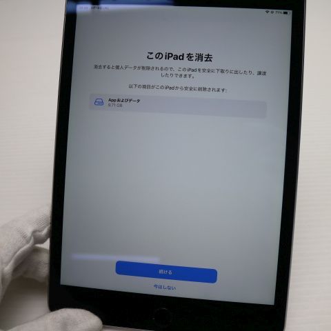 Ķ���� SIM�ե꡼ iPad mini 4 Cellular 128GB ���ڡ������쥤  ���