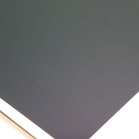 �¿��ݾ��� ���� iPad mini 4 Wi-Fi 64GB �������  �������