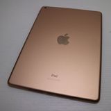 �¿��ݾ� Ķ���� iPad7 ��7���� wi-fi��ǥ� 128GB  �������